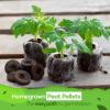 image50pcs Seed Starter Peat Pellets for Gardening  36mm Seed Starter Pods  Peat Pellets for Seedlings Flower Seeds and Herb Garden Cuttings  Seed Starter Soil Seed Pods by Home Grown
