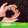 image50pcs Seed Starter Peat Pellets for Gardening  36mm Seed Starter Pods  Peat Pellets for Seedlings Flower Seeds and Herb Garden Cuttings  Seed Starter Soil Seed Pods by Home Grown
