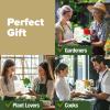 imageHOME GROWN    8 Herb Seeds Garden Kit Complete Indoor Planter Gift with Basil Cilantro Mint ampamp More Unique Kitchen Growing Set for Women Men Birthday Housewarming PresentOriginal
