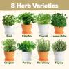 imageHOME GROWN    8 Herb Seeds Garden Kit Complete Indoor Planter Gift with Basil Cilantro Mint ampamp More Unique Kitchen Growing Set for Women Men Birthday Housewarming PresentOriginal