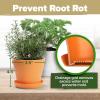 imageHOME GROWN    8 Herb Seeds Garden Kit Complete Indoor Planter Gift with Basil Cilantro Mint ampamp More Unique Kitchen Growing Set for Women Men Birthday Housewarming PresentOriginal