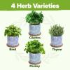 imageHOME GROWN    8 Herb Seeds Garden Kit Complete Indoor Planter Gift with Basil Cilantro Mint ampamp More Unique Kitchen Growing Set for Women Men Birthday Housewarming PresentCeramic
