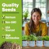 imageHOME GROWN    8 Herb Seeds Garden Kit Complete Indoor Planter Gift with Basil Cilantro Mint ampamp More Unique Kitchen Growing Set for Women Men Birthday Housewarming PresentCeramic