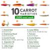 imageHOME GROWN   25 Heirloom Vegetable Seeds Kit  14200 NONGMO Seeds for Planting Vegetables Survival Garden Seed Vault Tomatoes Carrots Beans Kale Peppers Indoor Outdoor Garden10Pack Rainbow