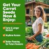imageHOME GROWN   25 Heirloom Vegetable Seeds Kit  14200 NONGMO Seeds for Planting Vegetables Survival Garden Seed Vault Tomatoes Carrots Beans Kale Peppers Indoor Outdoor Garden10Pack Rainbow
