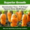 imageHOME GROWN   25 Heirloom Vegetable Seeds Kit  14200 NONGMO Seeds for Planting Vegetables Survival Garden Seed Vault Tomatoes Carrots Beans Kale Peppers Indoor Outdoor Garden10Pack Rainbow