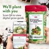 imageHOME GROWN   25 Heirloom Vegetable Seeds Kit  14200 NONGMO Seeds for Planting Vegetables Survival Garden Seed Vault Tomatoes Carrots Beans Kale Peppers Indoor Outdoor Garden12Pack Winter