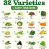 imageHOME GROWN   25 Heirloom Vegetable Seeds Kit  14200 NONGMO Seeds for Planting Vegetables Survival Garden Seed Vault Tomatoes Carrots Beans Kale Peppers Indoor Outdoor Garden32Pack
