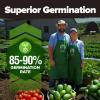 imageHOME GROWN   25 Heirloom Vegetable Seeds Kit  14200 NONGMO Seeds for Planting Vegetables Survival Garden Seed Vault Tomatoes Carrots Beans Kale Peppers Indoor Outdoor Garden25Pack