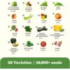 imageHOME GROWN   25 Heirloom Vegetable Seeds Kit  14200 NONGMO Seeds for Planting Vegetables Survival Garden Seed Vault Tomatoes Carrots Beans Kale Peppers Indoor Outdoor Garden32Pack