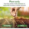 imageHOME GROWN   25 Heirloom Vegetable Seeds Kit  14200 NONGMO Seeds for Planting Vegetables Survival Garden Seed Vault Tomatoes Carrots Beans Kale Peppers Indoor Outdoor Garden12Pack Winter