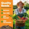 imageHOME GROWN   25 Heirloom Vegetable Seeds Kit  14200 NONGMO Seeds for Planting Vegetables Survival Garden Seed Vault Tomatoes Carrots Beans Kale Peppers Indoor Outdoor Garden10Pack Rainbow