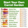 imageHOME GROWN   25 Heirloom Vegetable Seeds Kit  14200 NONGMO Seeds for Planting Vegetables Survival Garden Seed Vault Tomatoes Carrots Beans Kale Peppers Indoor Outdoor Garden10Pack Rainbow
