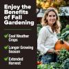 imageHOME GROWN   25 Heirloom Vegetable Seeds Kit  14200 NONGMO Seeds for Planting Vegetables Survival Garden Seed Vault Tomatoes Carrots Beans Kale Peppers Indoor Outdoor Garden12Pack Fall