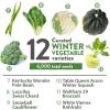 imageHOME GROWN   25 Heirloom Vegetable Seeds Kit  14200 NONGMO Seeds for Planting Vegetables Survival Garden Seed Vault Tomatoes Carrots Beans Kale Peppers Indoor Outdoor Garden12Pack Winter