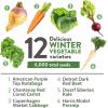 imageHOME GROWN   25 Heirloom Vegetable Seeds Kit  14200 NONGMO Seeds for Planting Vegetables Survival Garden Seed Vault Tomatoes Carrots Beans Kale Peppers Indoor Outdoor Garden12Pack Winter