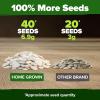 imageHOME GROWN   5 Pumpkin Seeds Mix  40 Seeds  Heirloom Pumpkin for Planting Ideal Garden for Unique Varieties Yellow Paris and Casper Culinary and Decorative UsePumpkin