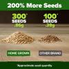 imageHOME GROWN   5 Pumpkin Seeds Mix  40 Seeds  Heirloom Pumpkin for Planting Ideal Garden for Unique Varieties Yellow Paris and Casper Culinary and Decorative UseBeefsteak Tomato