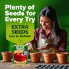 imageHOME GROWN   5 Pumpkin Seeds Mix  40 Seeds  Heirloom Pumpkin for Planting Ideal Garden for Unique Varieties Yellow Paris and Casper Culinary and Decorative UseBeefsteak Tomato