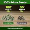 imageHOME GROWN   5 Pumpkin Seeds Mix  40 Seeds  Heirloom Pumpkin for Planting Ideal Garden for Unique Varieties Yellow Paris and Casper Culinary and Decorative UseSnap Pea