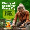 imageHOME GROWN   5 Pumpkin Seeds Mix  40 Seeds  Heirloom Pumpkin for Planting Ideal Garden for Unique Varieties Yellow Paris and Casper Culinary and Decorative UsePumpkin