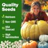 imageHOME GROWN   5 Pumpkin Seeds Mix  40 Seeds  Heirloom Pumpkin for Planting Ideal Garden for Unique Varieties Yellow Paris and Casper Culinary and Decorative UsePumpkin