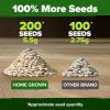 imageHOME GROWN   5 Pumpkin Seeds Mix  40 Seeds  Heirloom Pumpkin for Planting Ideal Garden for Unique Varieties Yellow Paris and Casper Culinary and Decorative UseCucumber