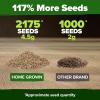 imageHOME GROWN   5 Pumpkin Seeds Mix  40 Seeds  Heirloom Pumpkin for Planting Ideal Garden for Unique Varieties Yellow Paris and Casper Culinary and Decorative UseArugula