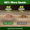imageHOME GROWN   5 Pumpkin Seeds Mix  40 Seeds  Heirloom Pumpkin for Planting Ideal Garden for Unique Varieties Yellow Paris and Casper Culinary and Decorative UseSan Marzano Tomato