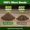 imageHOME GROWN   5 Pumpkin Seeds Mix  40 Seeds  Heirloom Pumpkin for Planting Ideal Garden for Unique Varieties Yellow Paris and Casper Culinary and Decorative UseRadish