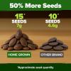 imageHOME GROWN   5 Pumpkin Seeds Mix  40 Seeds  Heirloom Pumpkin for Planting Ideal Garden for Unique Varieties Yellow Paris and Casper Culinary and Decorative UseWatermelon