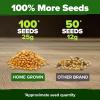 imageHOME GROWN   5 Pumpkin Seeds Mix  40 Seeds  Heirloom Pumpkin for Planting Ideal Garden for Unique Varieties Yellow Paris and Casper Culinary and Decorative UseCorn