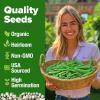 imageHOME GROWN   5 Pumpkin Seeds Mix  40 Seeds  Heirloom Pumpkin for Planting Ideal Garden for Unique Varieties Yellow Paris and Casper Culinary and Decorative UseSnap Pea