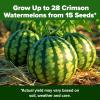 imageHOME GROWN   5 Pumpkin Seeds Mix  40 Seeds  Heirloom Pumpkin for Planting Ideal Garden for Unique Varieties Yellow Paris and Casper Culinary and Decorative UseWatermelon
