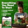 imageHOME GROWN   500 Cilantro Seeds for Planting Indoors or Outdoors  Heirloom  Coriander Seeds Grow Your Own Cilantro Plant  Culinary Herb Seeds for Your Herb GardenPeppermint