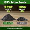 imageHOME GROWN   500 Cilantro Seeds for Planting Indoors or Outdoors  Heirloom  Coriander Seeds Grow Your Own Cilantro Plant  Culinary Herb Seeds for Your Herb GardenPeppermint