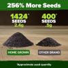 imageHOME GROWN   500 Cilantro Seeds for Planting Indoors or Outdoors  Heirloom  Coriander Seeds Grow Your Own Cilantro Plant  Culinary Herb Seeds for Your Herb GardenItalian Basil