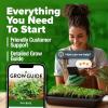 imageHOME GROWN   500 Cilantro Seeds for Planting Indoors or Outdoors  Heirloom  Coriander Seeds Grow Your Own Cilantro Plant  Culinary Herb Seeds for Your Herb GardenThai Basil