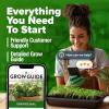 imageHOME GROWN   500 Cilantro Seeds for Planting Indoors or Outdoors  Heirloom  Coriander Seeds Grow Your Own Cilantro Plant  Culinary Herb Seeds for Your Herb GardenBasil Genovese