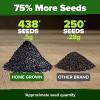 imageHOME GROWN   500 Cilantro Seeds for Planting Indoors or Outdoors  Heirloom  Coriander Seeds Grow Your Own Cilantro Plant  Culinary Herb Seeds for Your Herb GardenThai Basil