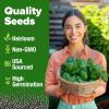 imageHOME GROWN   500 Cilantro Seeds for Planting Indoors or Outdoors  Heirloom  Coriander Seeds Grow Your Own Cilantro Plant  Culinary Herb Seeds for Your Herb GardenItalian Basil