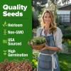 imageHOME GROWN   500 Cilantro Seeds for Planting Indoors or Outdoors  Heirloom  Coriander Seeds Grow Your Own Cilantro Plant  Culinary Herb Seeds for Your Herb GardenRosemary