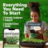 imageHOME GROWN   500 Cilantro Seeds for Planting Indoors or Outdoors  Heirloom  Coriander Seeds Grow Your Own Cilantro Plant  Culinary Herb Seeds for Your Herb GardenItalian Basil
