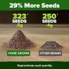 imageHOME GROWN   500 Cilantro Seeds for Planting Indoors or Outdoors  Heirloom  Coriander Seeds Grow Your Own Cilantro Plant  Culinary Herb Seeds for Your Herb GardenWhite Sage