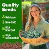 imageHOME GROWN   500 Cilantro Seeds for Planting Indoors or Outdoors  Heirloom  Coriander Seeds Grow Your Own Cilantro Plant  Culinary Herb Seeds for Your Herb GardenWhite Sage