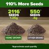 imageHOME GROWN   500 Cilantro Seeds for Planting Indoors or Outdoors  Heirloom  Coriander Seeds Grow Your Own Cilantro Plant  Culinary Herb Seeds for Your Herb GardenCatnip