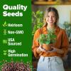 imageHOME GROWN   500 Cilantro Seeds for Planting Indoors or Outdoors  Heirloom  Coriander Seeds Grow Your Own Cilantro Plant  Culinary Herb Seeds for Your Herb GardenCatnip