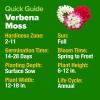imageHOME GROWN   Aubrieta Rock Cress Purple Flowering Ground Cover Seed Pack Perennial Cress Seeds for Planting Outdoor Lawn Gardens 300  Aubrieta deltoidea Flower SeedsMoss Verbena Mix