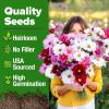 imageHOME GROWN   Aubrieta Rock Cress Purple Flowering Ground Cover Seed Pack Perennial Cress Seeds for Planting Outdoor Lawn Gardens 300  Aubrieta deltoidea Flower SeedsCosmos