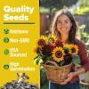 imageHOME GROWN   Autumn Beauty Sunflower Seeds to Plant 40 Heirloom NonGMO Sunflower Seeds for Planting Blooms for Pollinator Support and Ornamental Flower Garden Helianthus annuus8 Varieties Sunflower